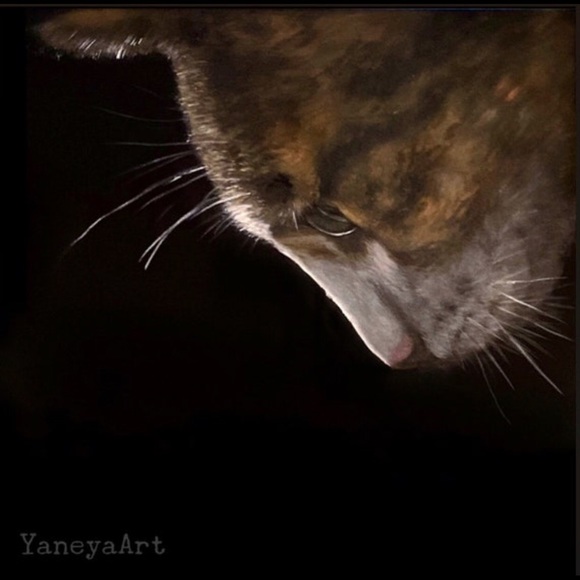 Support your artist - Picture 6 of 16